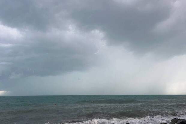 Отказ Эстонии от задержания российских судов назвали мудрым