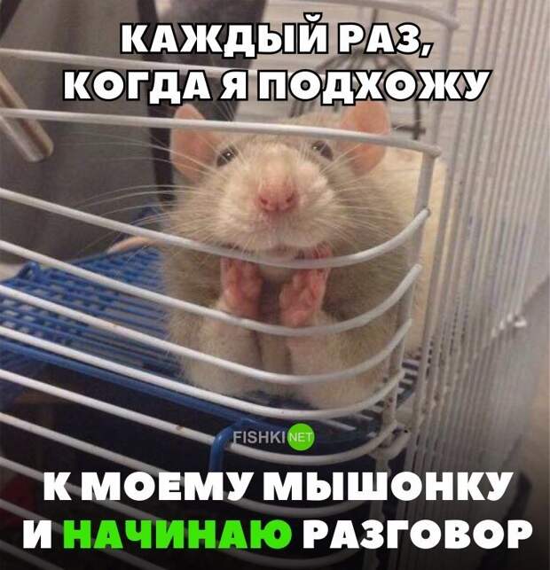 Картинки с надписями для настроения картинки с подписями, подборка, позитив, юмор
