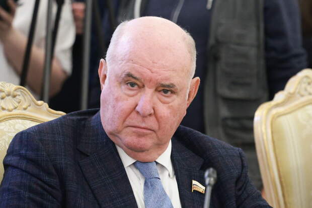 В России отреагировали на объяснение лидера РДК убийства гражданских в Брянской области