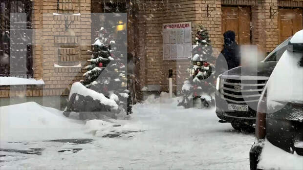 «Люди делают другое»: адвокат Полины Лурье о сроках передачи квартиры Долиной