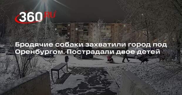 Двое детей пострадали от бродячих псов в Оренбургской области