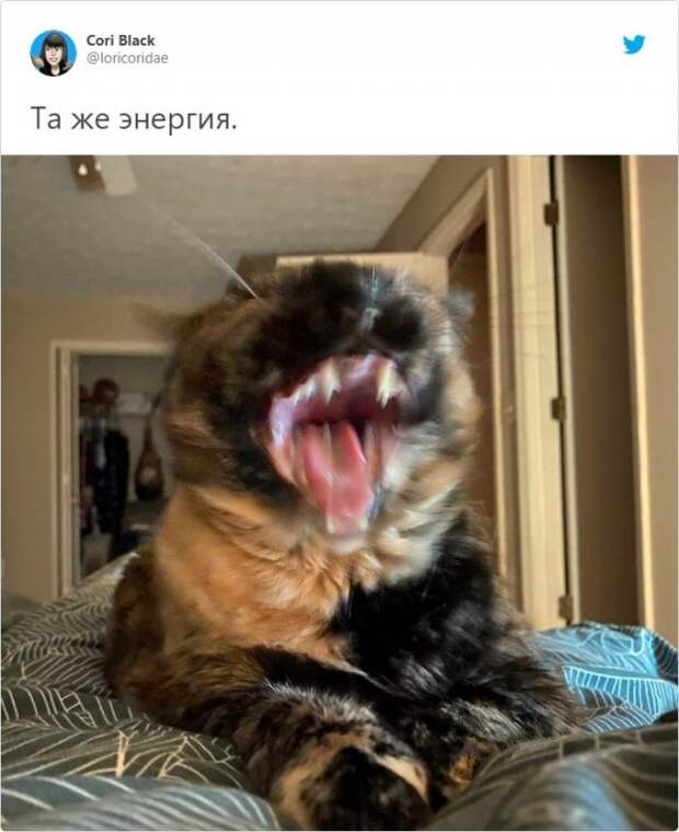 www.vsyako.net
