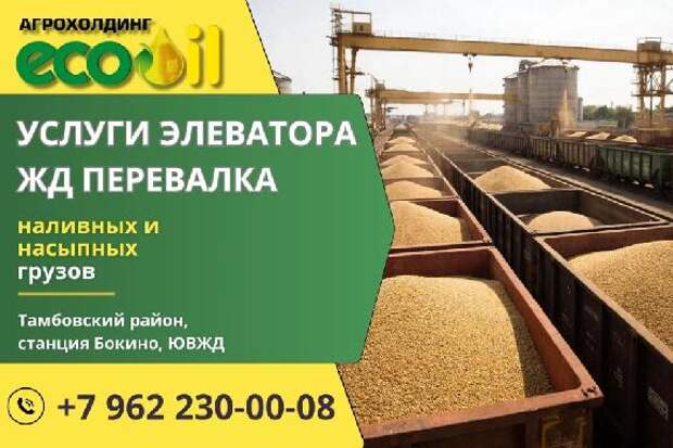 Аграриям предлагают мощности для хранения до 250 тысяч тонн зерна на ж/д станции Бокино