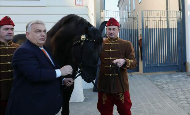 Сикорский: Из-за Орбана конфедерация ЕС свалится в гражданскую войну