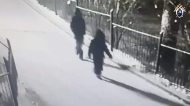 В Красноярске похитили 14-летнего подростка, с родителей требуют выкуп