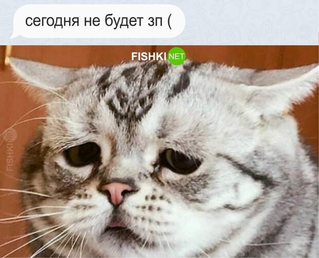 Самое грустное сообщение Самое грустное сообщение