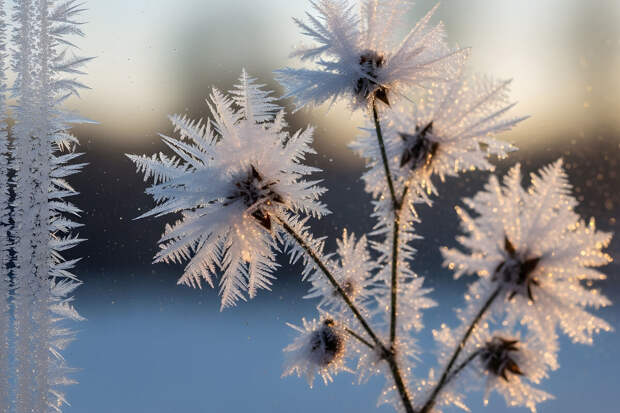 Оранжевый уровень опасности объявлен в 9 областях Центральной РФ из-за холодов