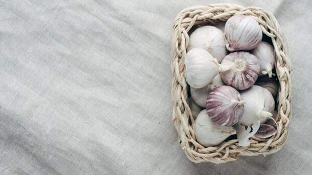 Не дайте пропасть чесноку: как можно гарантированно сохранить полезный продукт