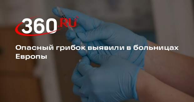 В больницах Европы начал распространяться грибок с летальностью более 60%