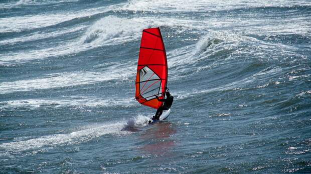 Кит столкнулся с человеком