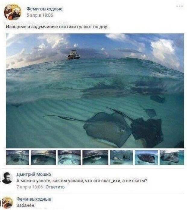 Смешные комментарии