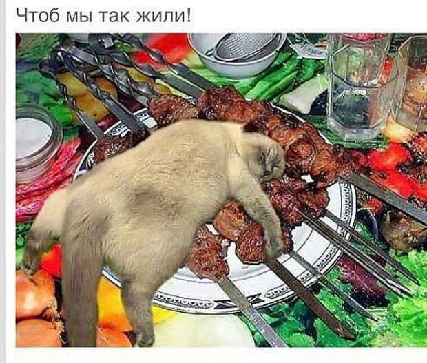 Картинки с надписями мем, прикол, юмор