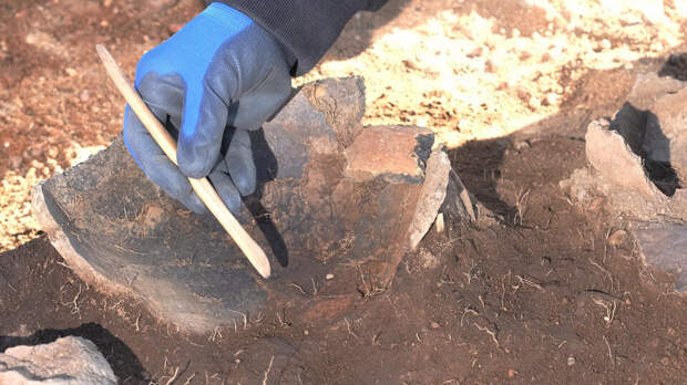 Древний снаряд с саркастическим посланием нашли в Израиле