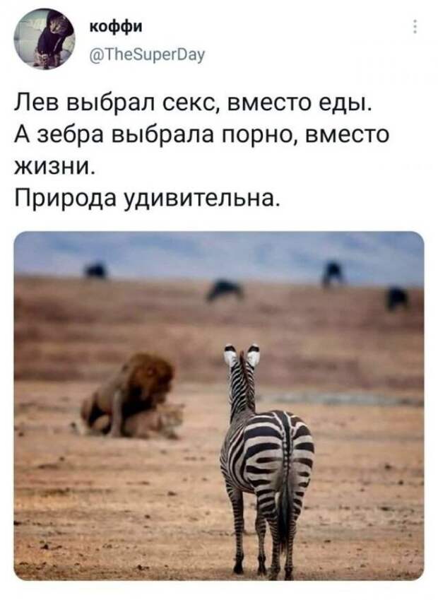 Скрины из соцсетей