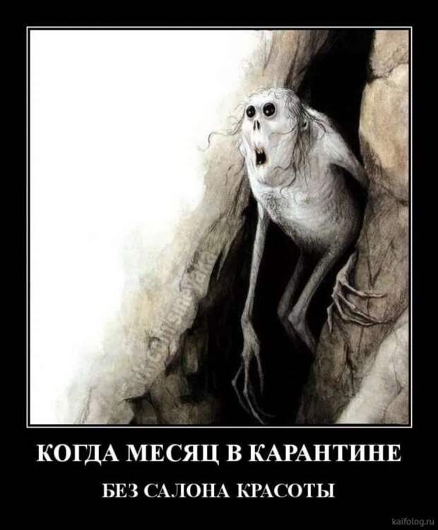 Прикольные демотиваторы с надписями. Подборка chert-poberi-dem-chert-poberi-dem-14080424072020-8 картинка chert-poberi-dem-14080424072020-8
