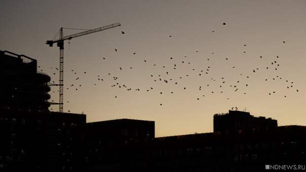 Мэрия Челябинска выставила на продажу участок со зданием элеватора