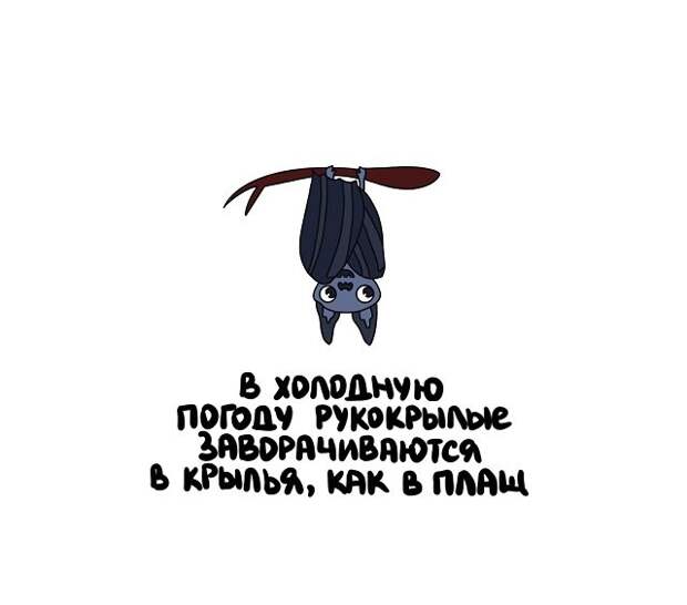 Короткие и интересные факты на все случаи жизни