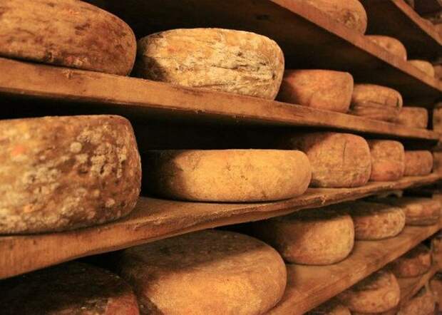 Неожиданно полезно: сыр. Неожиданно полезно: сыр.