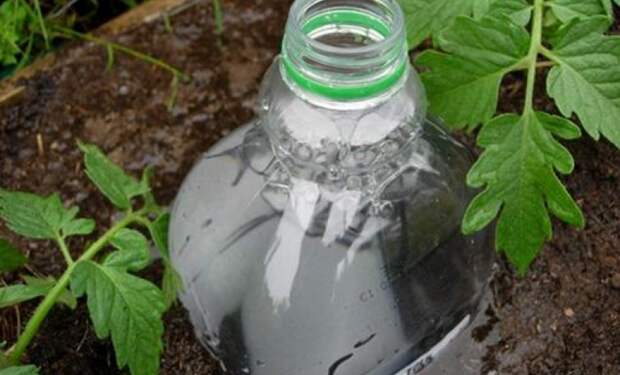 поделки из пластиковых бутылок для сада