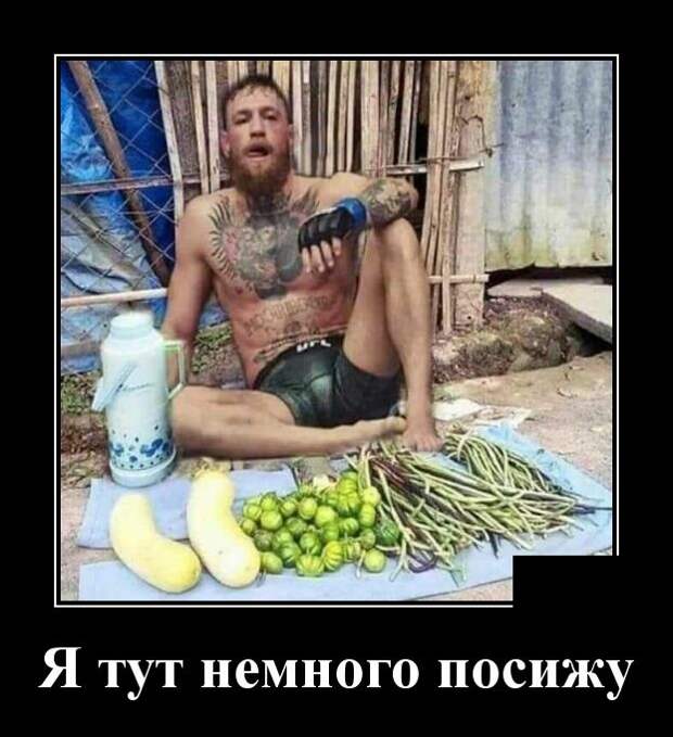 Демотиваторы (30 фото)
