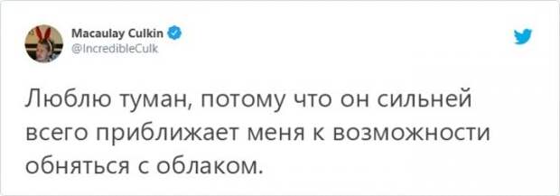 Твиты Маколея Калкина