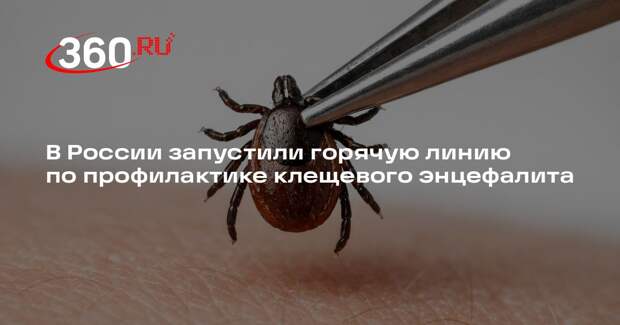 В России запустили горячую линию по профилактике клещевого энцефалита