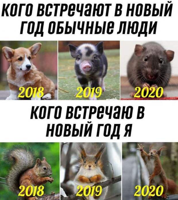 Подборка картинок (32 фото)