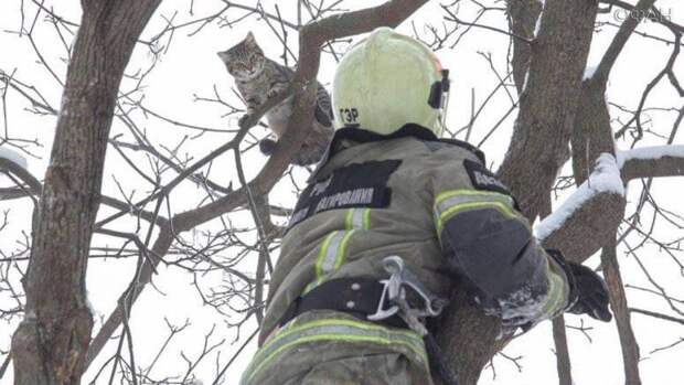 Ростовский Эйс Вентура снова спасет животных Ростовский Эйс Вентура снова спасет животных