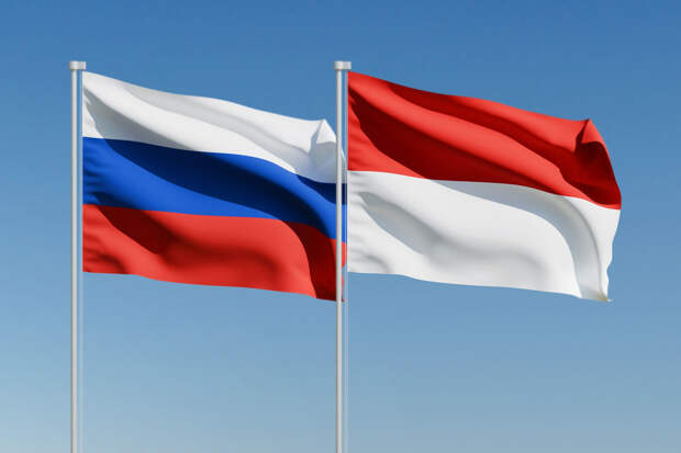 Посол Толченов: РФ готова помочь Индонезии в создании космической инфраструктуры