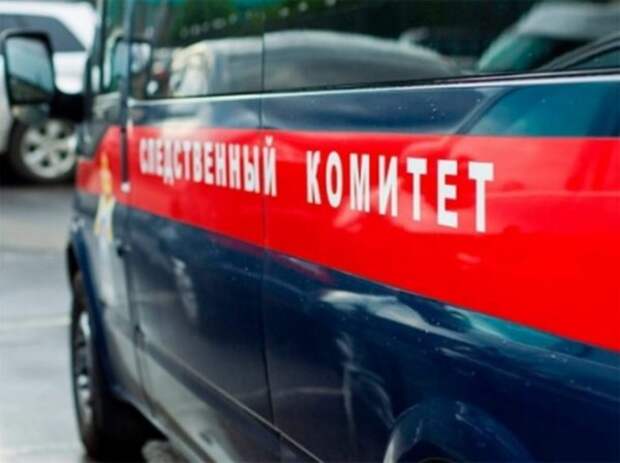 В лесу под Рязанью обнаружили человеческие останки