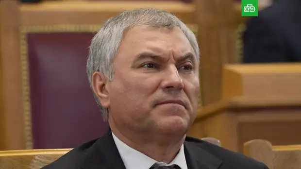 Володин предложил конфисковывать бизнес граждан недружественных стран