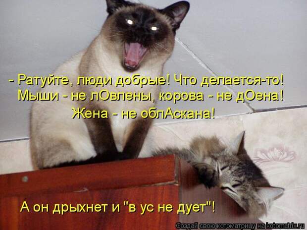1474017320_kotomatricy-21