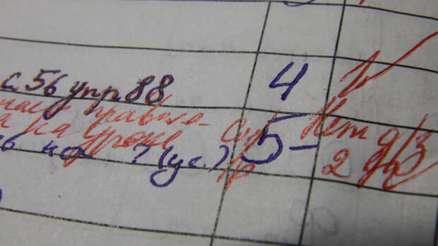 Не бегать по коридору: в российских школах могут ввести оценки за поведение