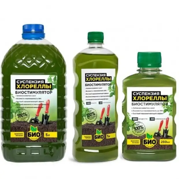 Мощнейшее удобрение для всех растений практически даром. Выращиваем хлореллу самостоятельно