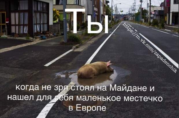 d2ddf0c67f4566b947b6734259a5d40b.jpg