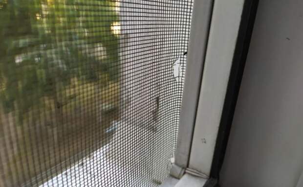 Полотно рвется и ослабляется. /Фото: yandex.tm. Полотно рвется и ослабляется. /Фото: yandex.tm.