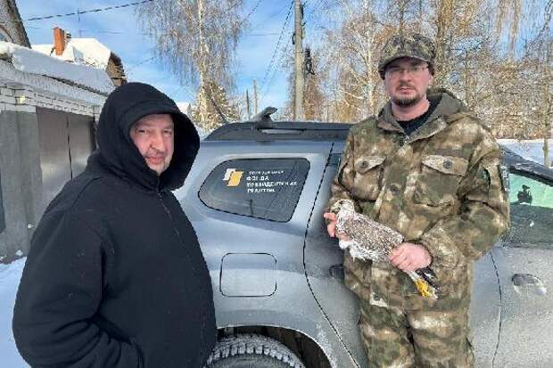 В Тамбовской области спустя полвека обнаружили краснокнижного сокола