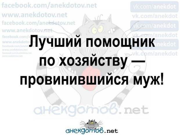 Анекдоты - лучшее от "анекдотовнет" Анекдоты - лучшее от "анекдотовнет"