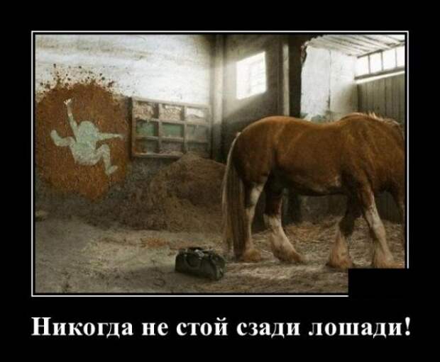 demotivatory-demotivator-smeshnye-demotivatory-demotivator-so-smyslom