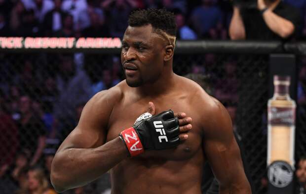 Francis Ngannou in the Octagon