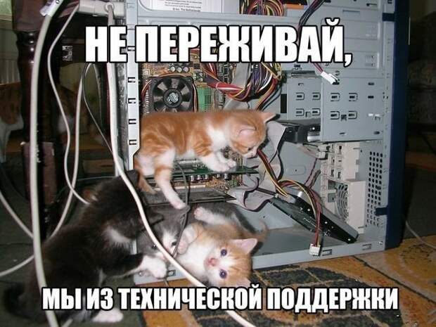 Картинки с надписями