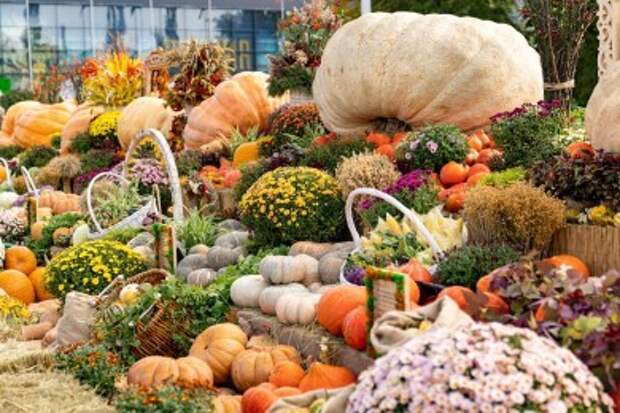 Ярмарка ´Золотая осень´ продолжит работу 12 и 13 ноября.