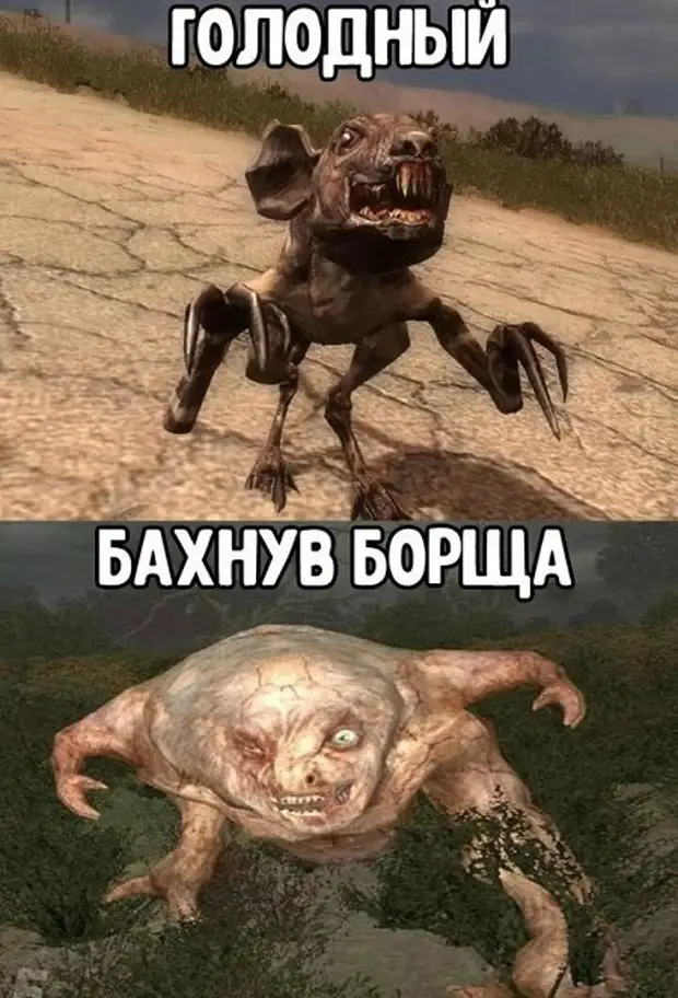 Смешные картинки с сталкером