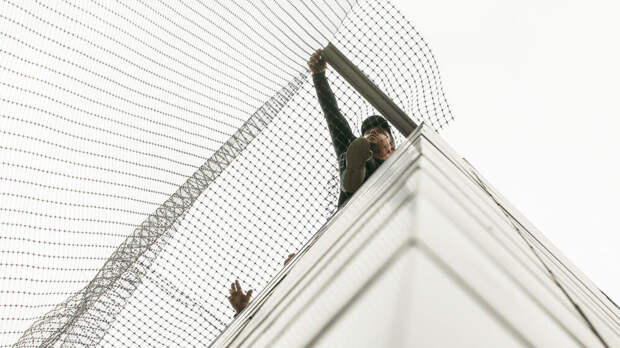 В Белгородской области начнут устанавливать вдоль дорог антидроновые коридоры