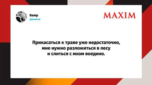 Самые смешные шутки среды и «бимбо-ведьма Снежана»