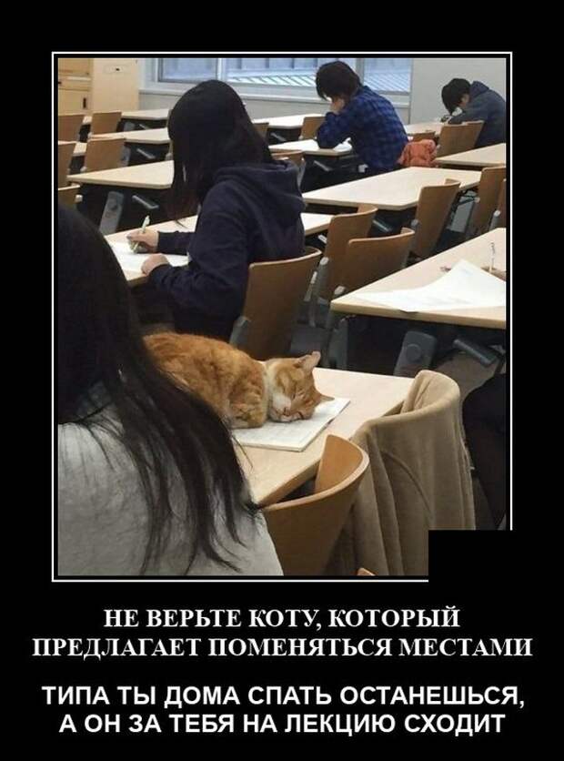 Демотиваторы 6 апреля 2021 года
