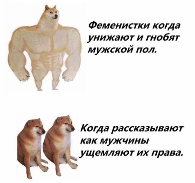 Приколы и мемы про феминисток Приколы и мемы про феминисток