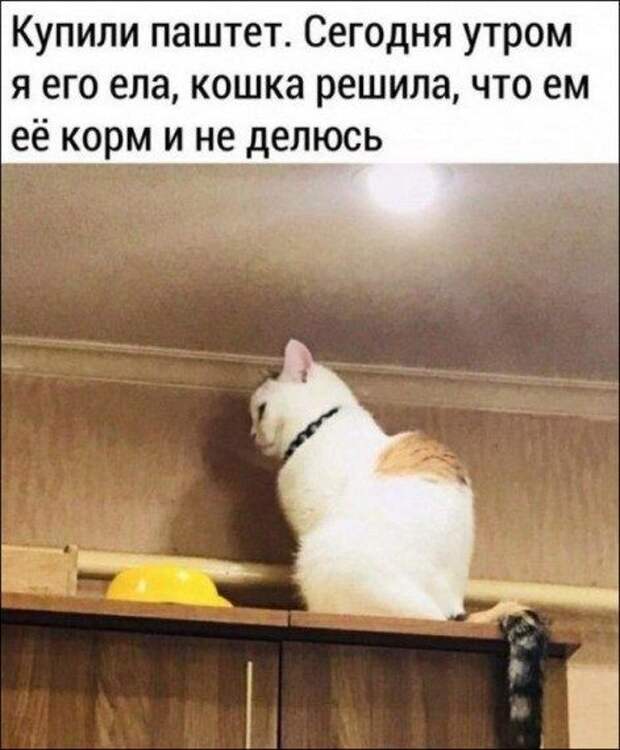 Прикольные картинки в ассортименте!!!