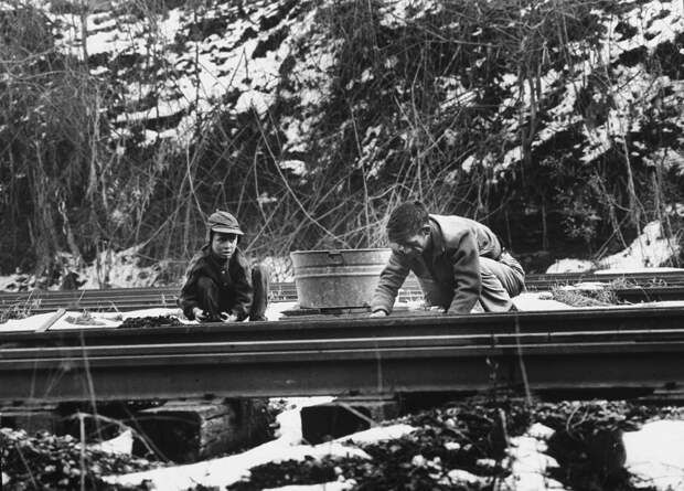 Штат Кентукки 1960-х годов в фотопроекте «Долина бедности»