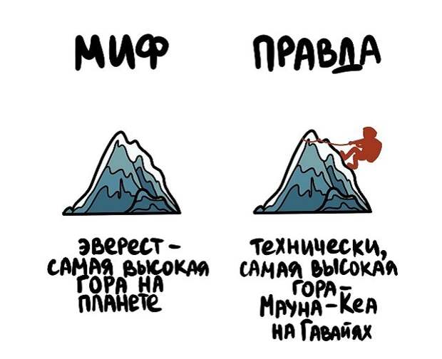 Интересные короткие факты на все случаи жизни